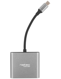 NATEC Fowler Mini USB 2.0 Type-C Gris