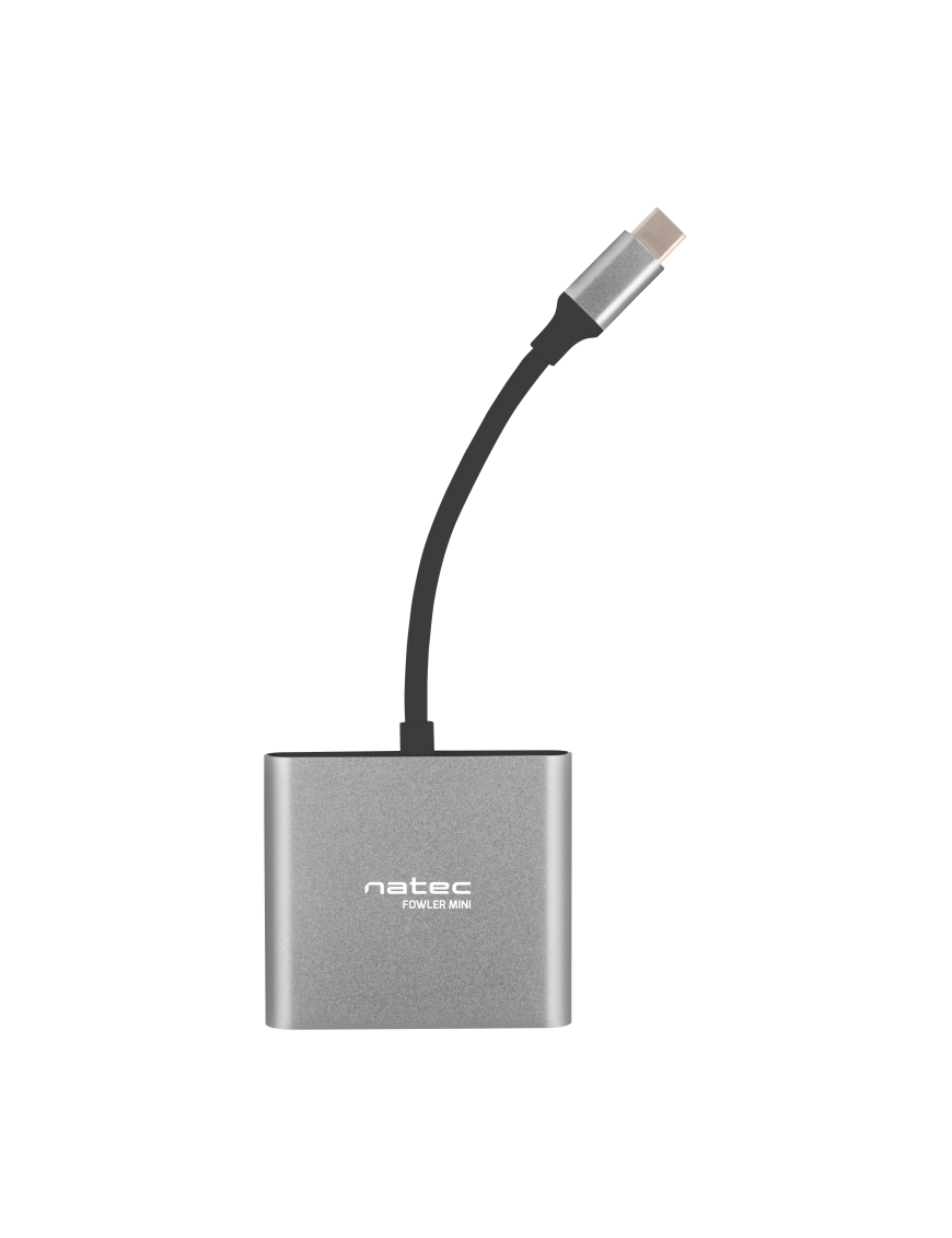 NATEC Fowler Mini USB 2.0 Type-C Gris
