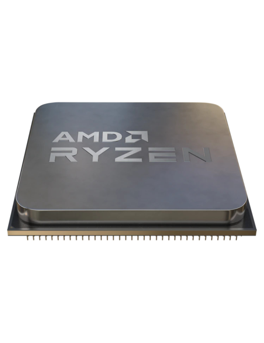 AMD Ryzen 5 5500 procesador 3,6 GHz 16 MB L3 Caja