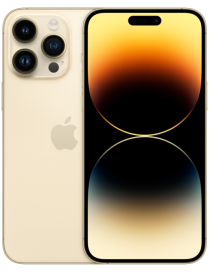 Apple iPhone 14 Pro Max 17 cm (6.7") SIM doble iOS 16 5G 256 GB Oro