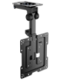 AISENS Soporte de Techo Giratorio, Plegable para Monitor/TV 20Kg de 19-43, Negro