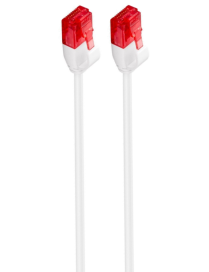 Ewent IM1035 cable de red Blanco 0,25 m Cat6 U/UTP (UTP)