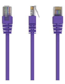 Gembird RJ45/RJ45 Cat5e 0.5m cable de red Púrpura 0,5 m U/UTP (UTP)