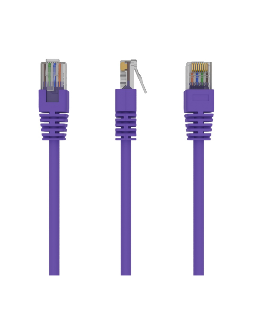 Gembird RJ45/RJ45 Cat5e 1m cable de red Púrpura U/UTP (UTP)
