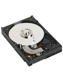 DELL NPOS - to be sold with Server only - 1TB 7.2K RPM SATA 6Gbps 512n 3.5in Cabled Hard Drive