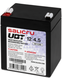 Salicru UBT 12/4,5