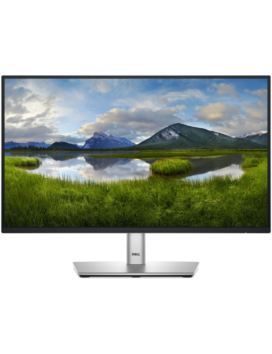 DELL P Series P2225H pantalla para PC 54,6 cm (21.5") 1920 x 1080 Pixeles Full HD LCD Negro, Plata