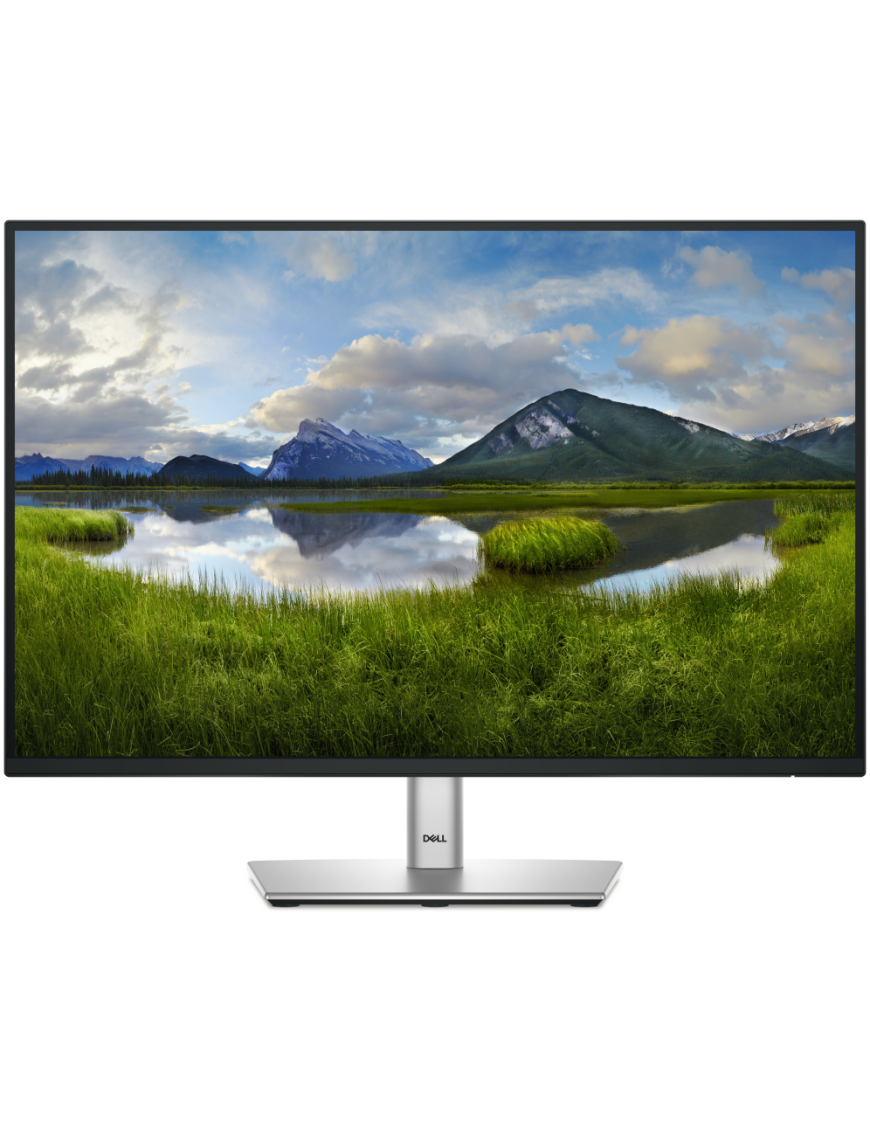 DELL Pro Plus P2425 pantalla para PC 61,1 cm (24.1") 1920 x 1200 Pixeles WUXGA LCD Negro