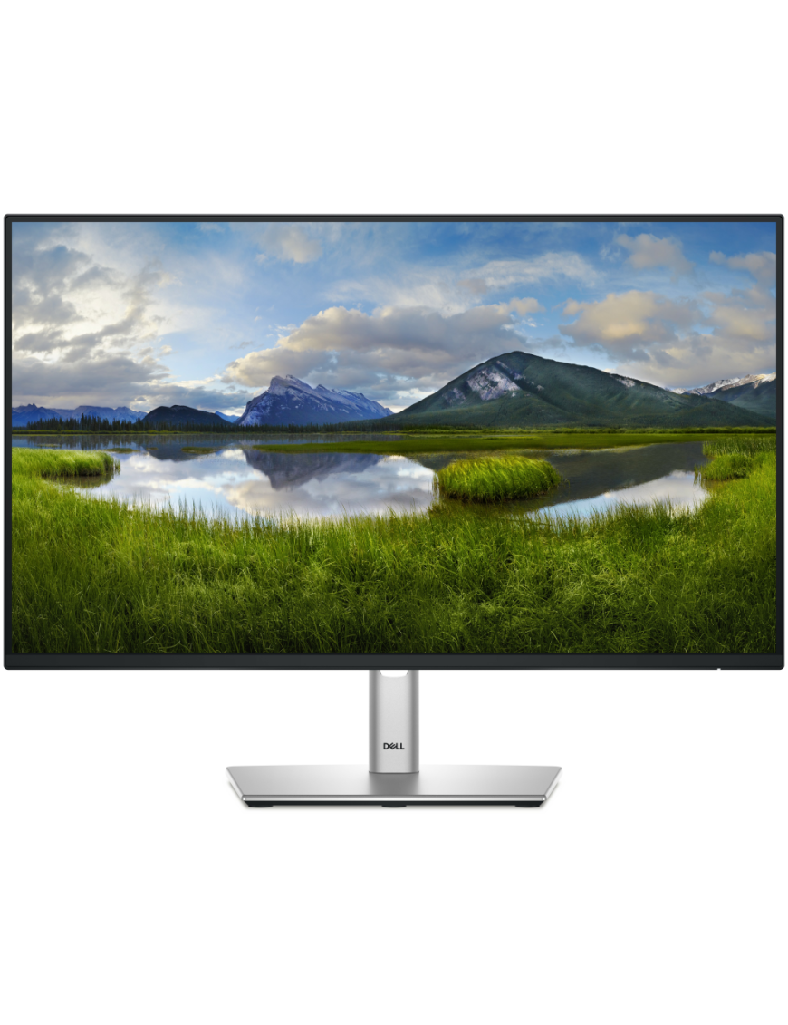 DELL Pro Plus P2425H pantalla para PC 60,5 cm (23.8") 1920 x 1080 Pixeles Full HD LCD Negro