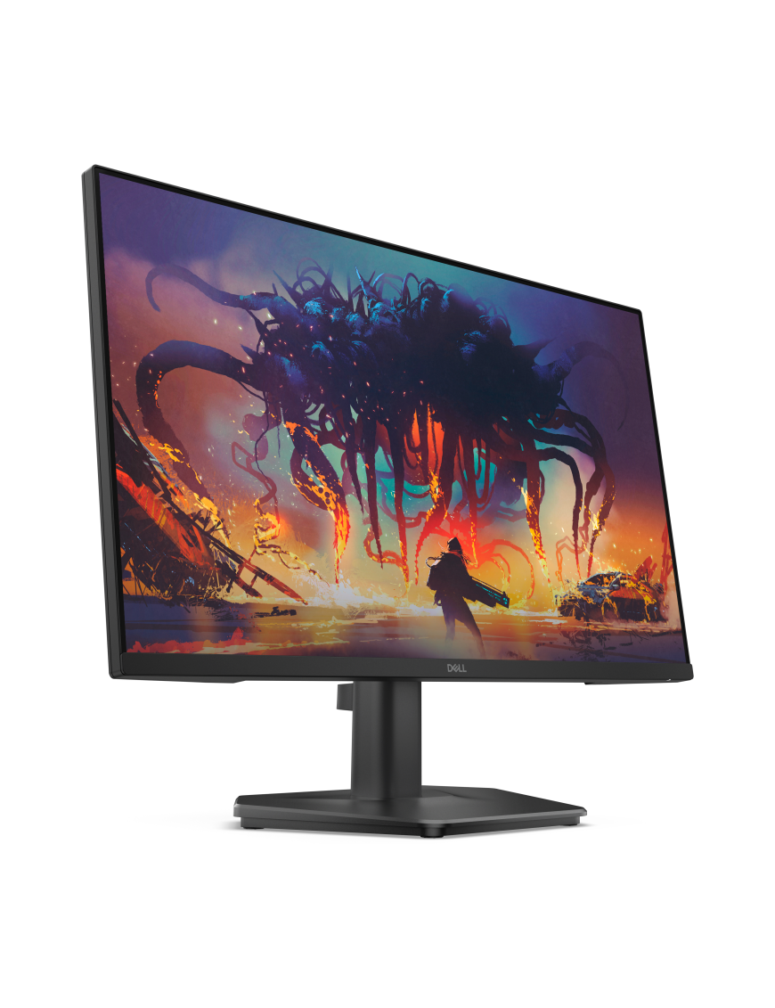 DELL SE2425HG pantalla para PC 61 cm (24") 1920 x 1080 Pixeles Full HD LCD Negro
