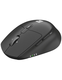 NATEC Kite ratón Oficina Mano derecha RF Wireless + Bluetooth Óptico 4000 DPI