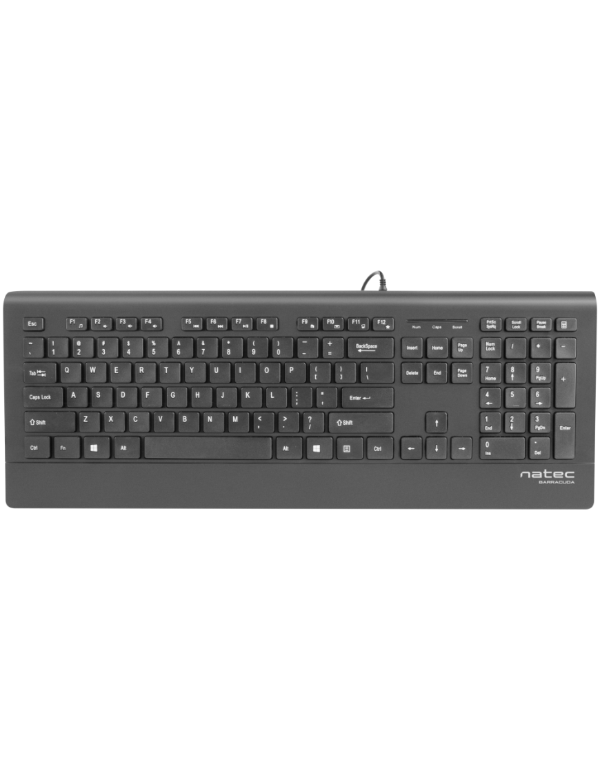 NATEC Barracuda teclado Universal USB QWERTY Español Negro