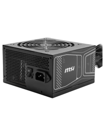 MSI MAG A750GN PCIE5 unidad de fuente de alimentación 750 W 20+4 pin ATX ATX Negro
