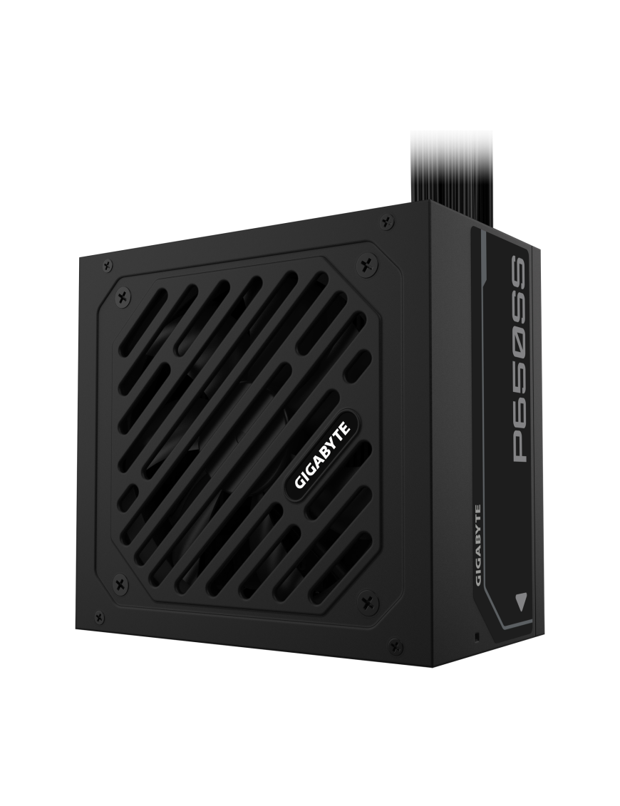 GIGABYTE P650SS unidad de fuente de alimentación 650 W 20+4 pin ATX ATX Negro