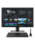Software Profesional
